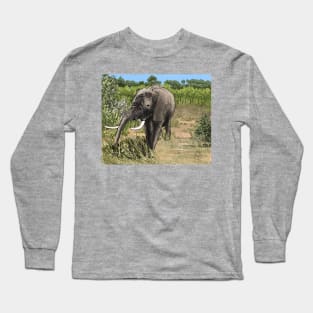 Zimbabwe in the bush Long Sleeve T-Shirt